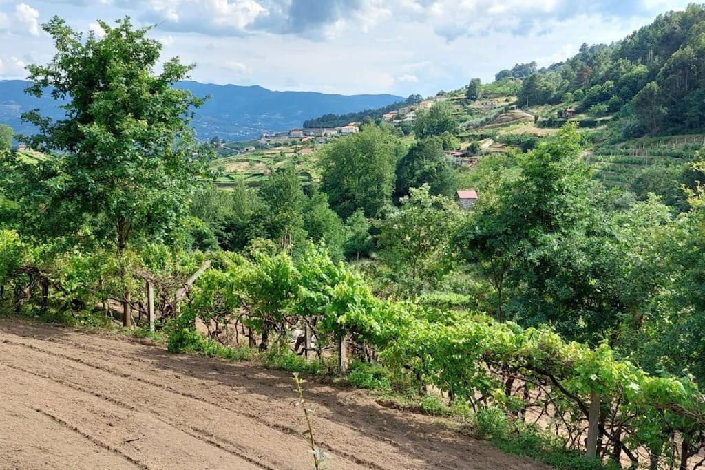 Quinta Dos Castros Douro Villa Baião Eksteriør bilde