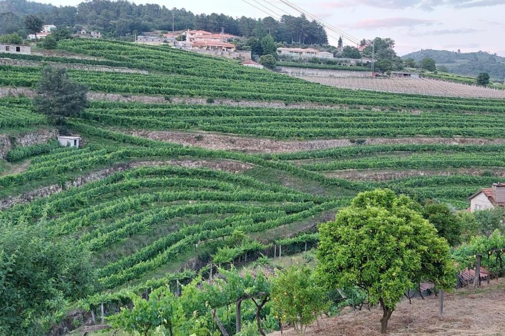 Quinta Dos Castros Douro Villa Baião Eksteriør bilde