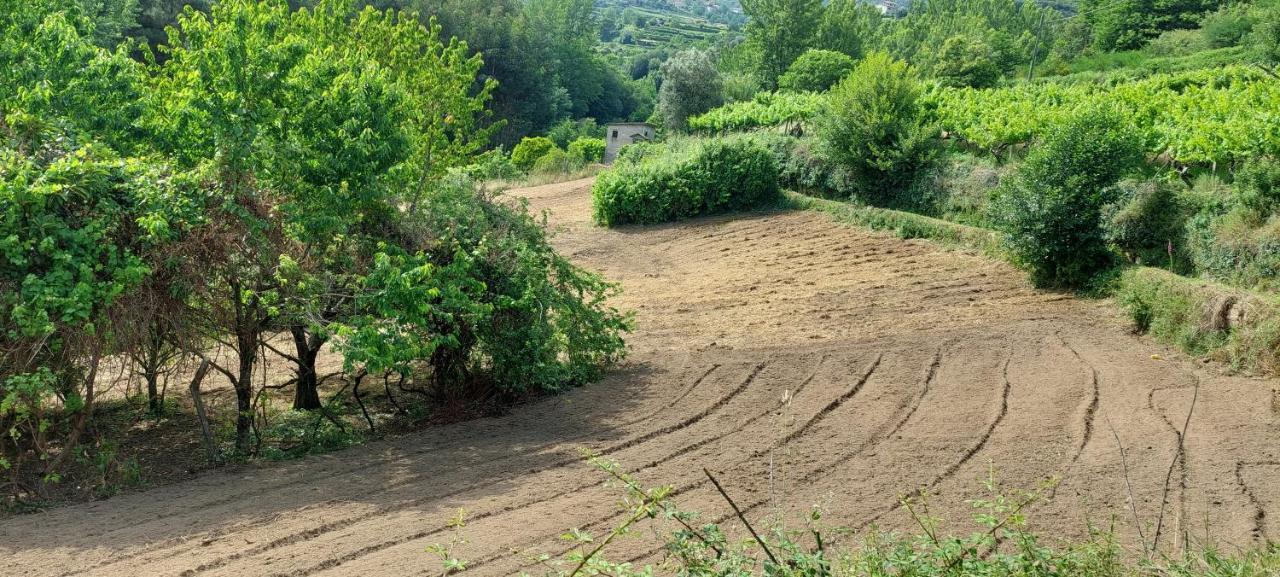 Quinta Dos Castros Douro Villa Baião Eksteriør bilde