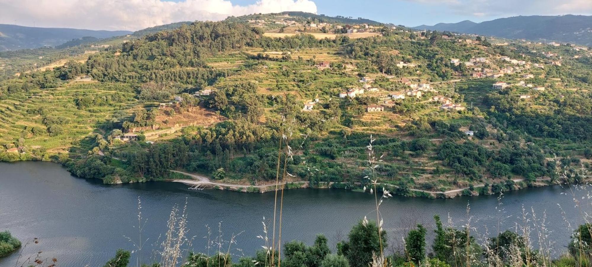 Quinta Dos Castros Douro Villa Baião Eksteriør bilde