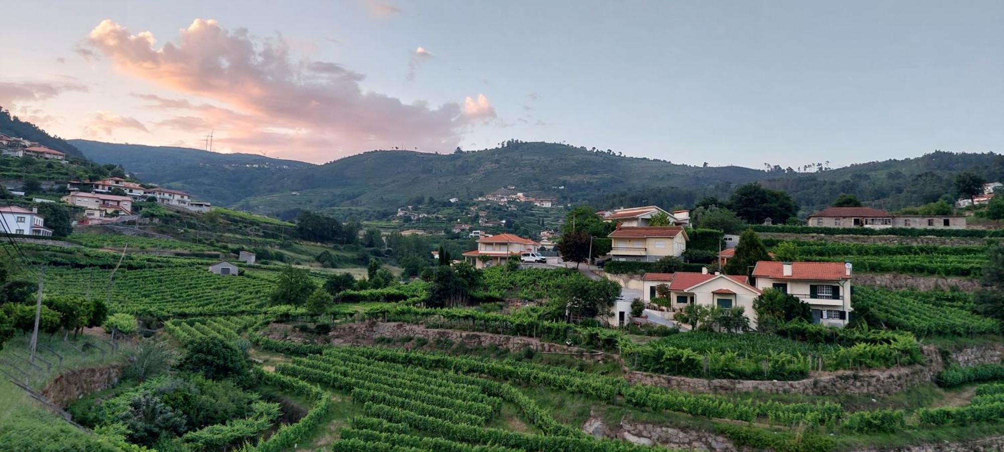 Quinta Dos Castros Douro Villa Baião Eksteriør bilde