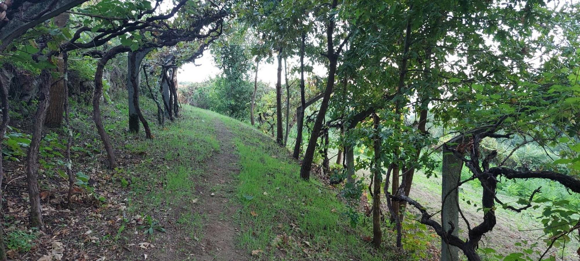 Quinta Dos Castros Douro Villa Baião Eksteriør bilde