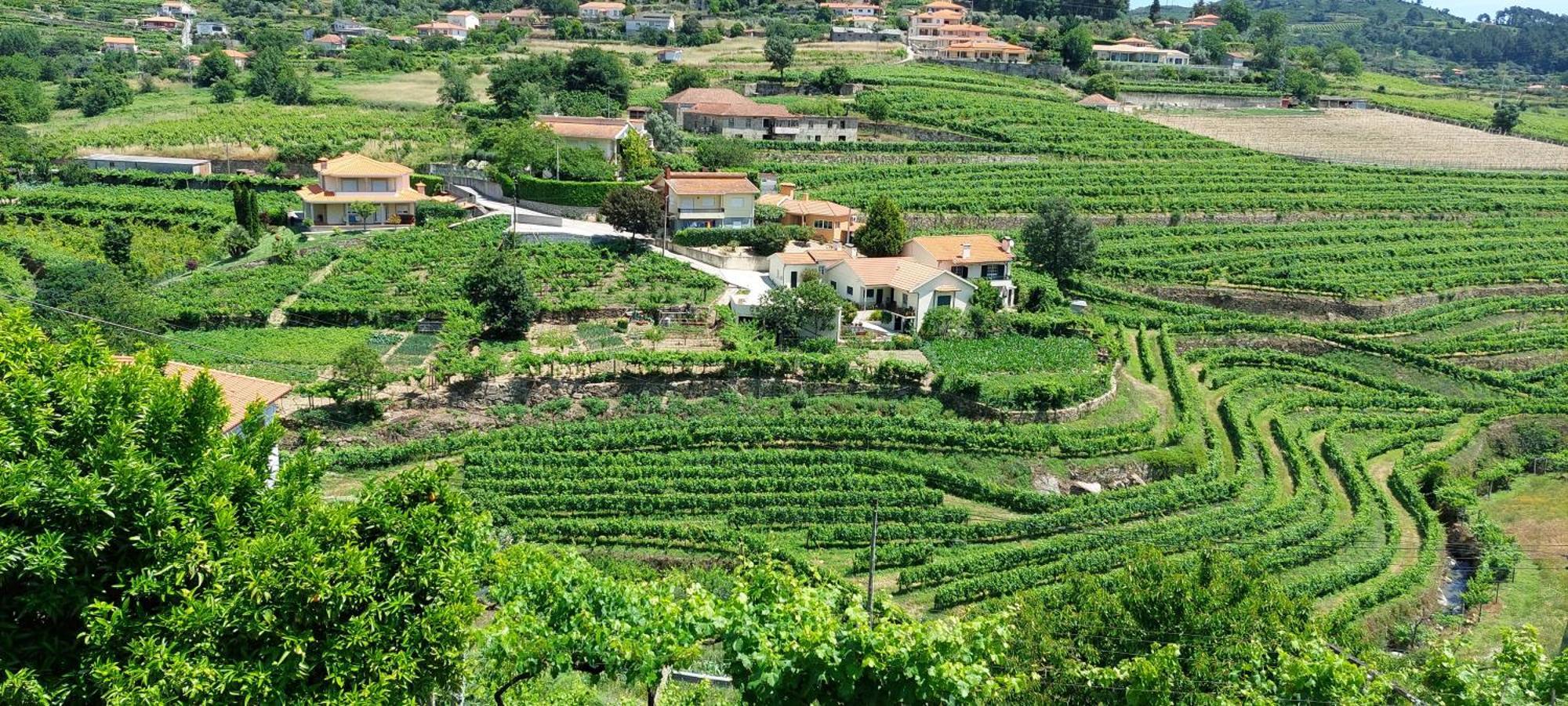 Quinta Dos Castros Douro Villa Baião Eksteriør bilde