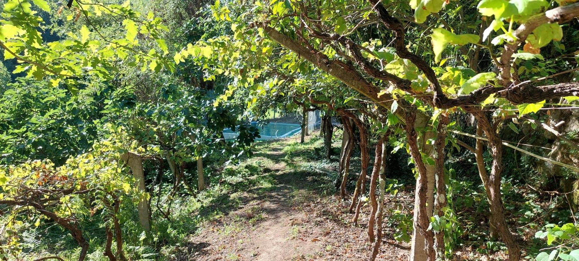 Quinta Dos Castros Douro Villa Baião Eksteriør bilde