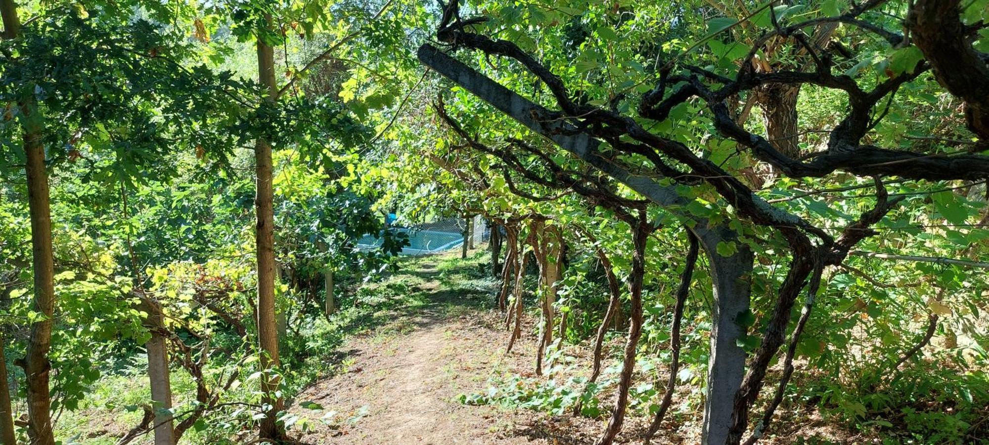 Quinta Dos Castros Douro Villa Baião Eksteriør bilde