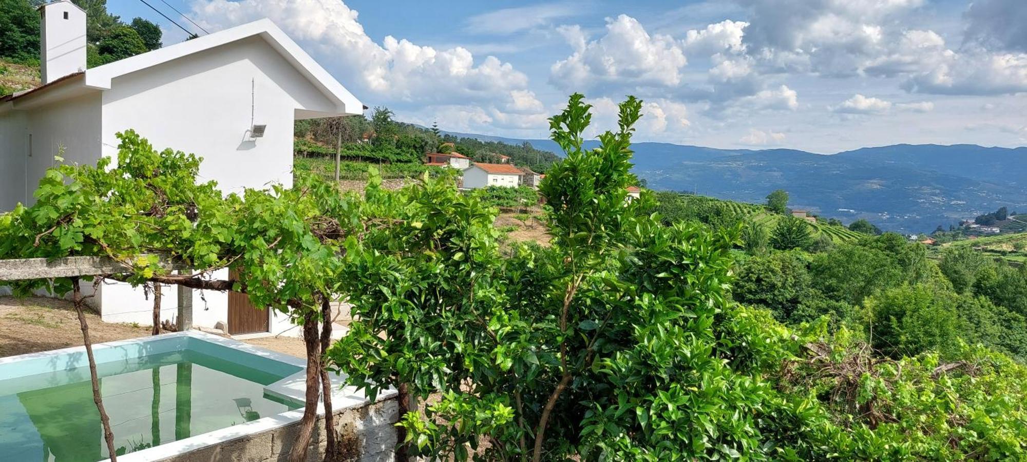 Quinta Dos Castros Douro Villa Baião Eksteriør bilde