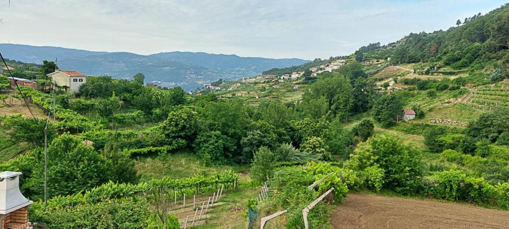 Quinta Dos Castros Douro Villa Baião Eksteriør bilde