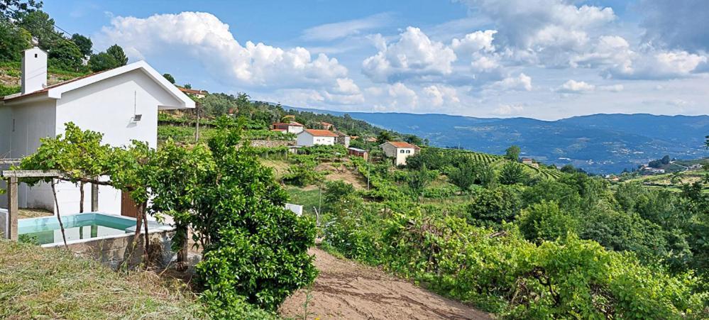 Quinta Dos Castros Douro Villa Baião Eksteriør bilde
