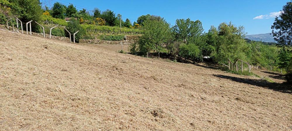 Quinta Dos Castros Douro Villa Baião Eksteriør bilde