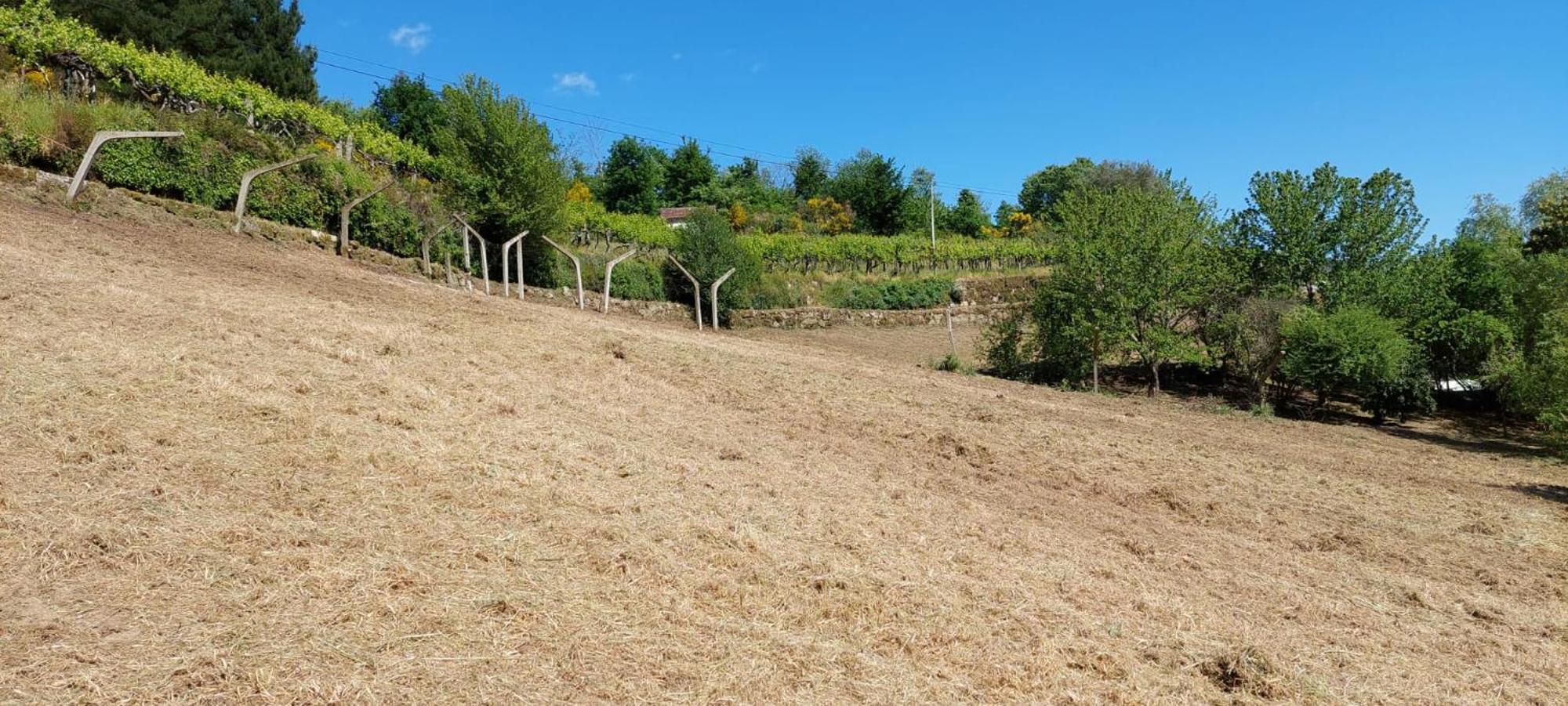 Quinta Dos Castros Douro Villa Baião Eksteriør bilde