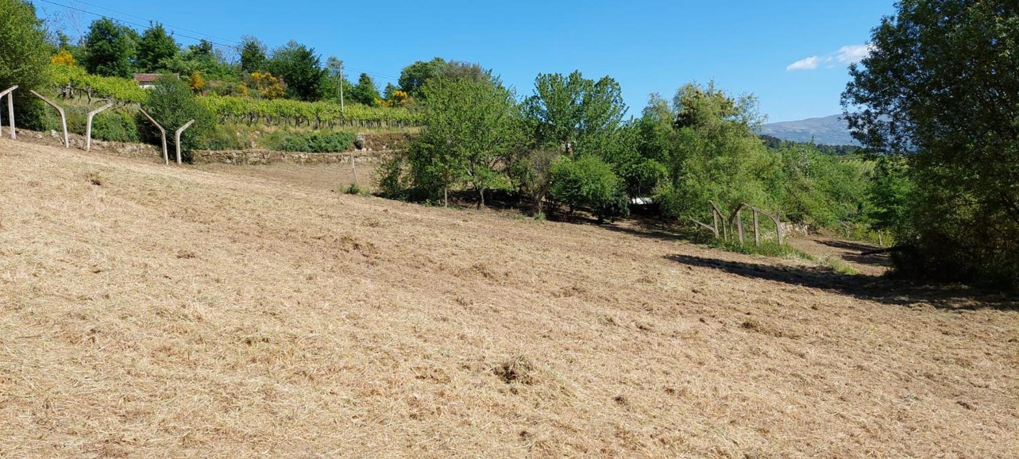 Quinta Dos Castros Douro Villa Baião Eksteriør bilde
