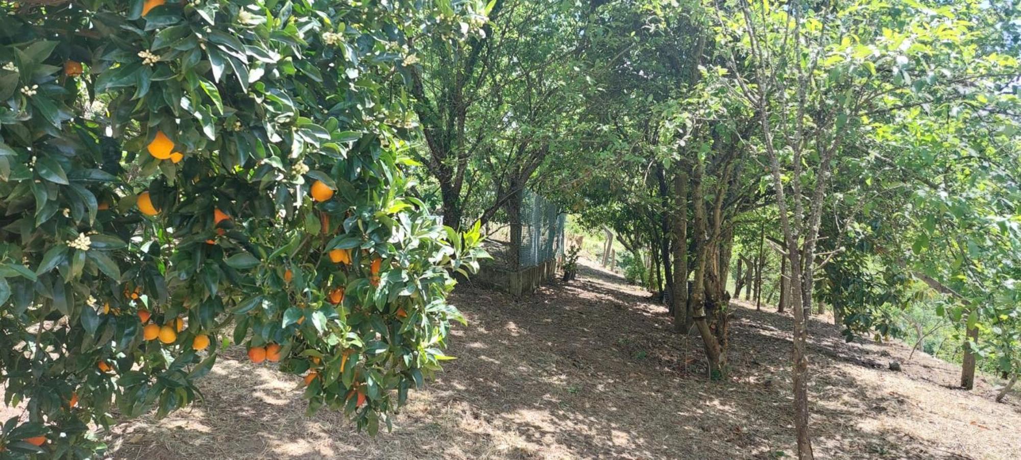 Quinta Dos Castros Douro Villa Baião Eksteriør bilde