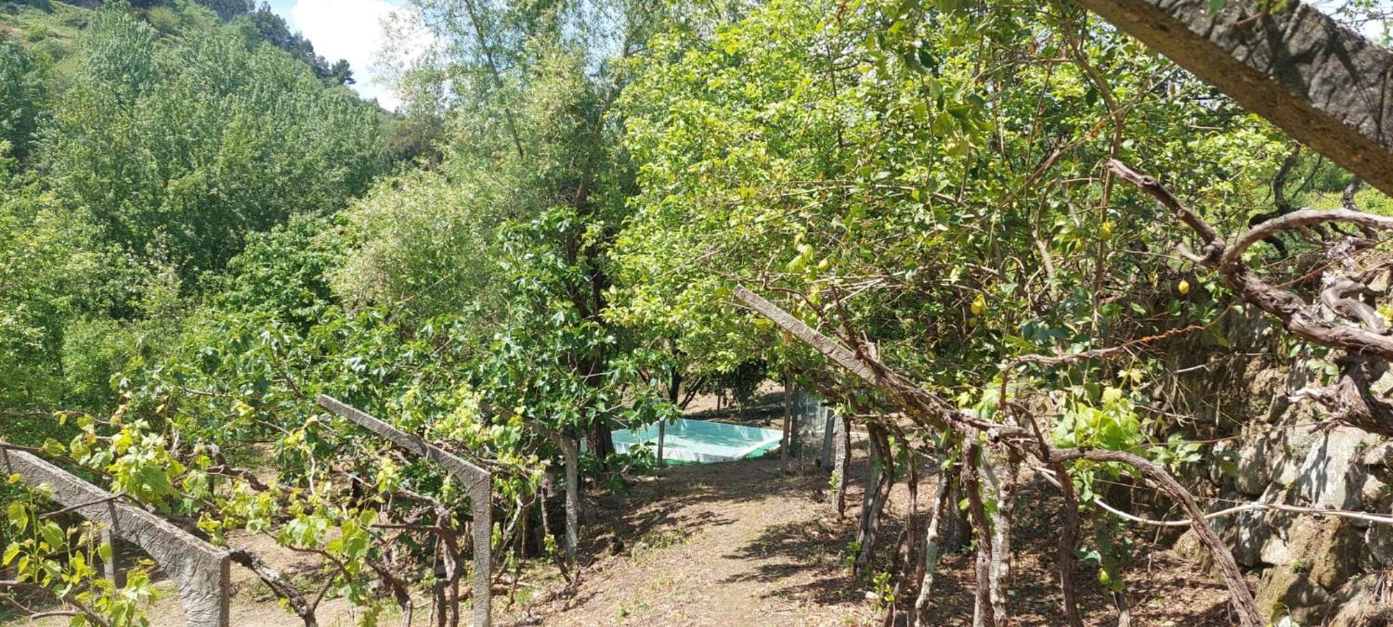Quinta Dos Castros Douro Villa Baião Eksteriør bilde